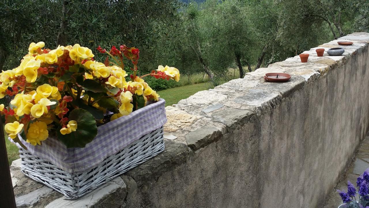 B&B Le Torri Di Firenze 피에솔레 외부 사진